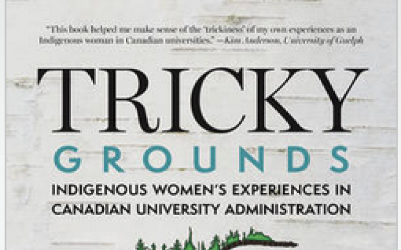 Tricky Ground book cover