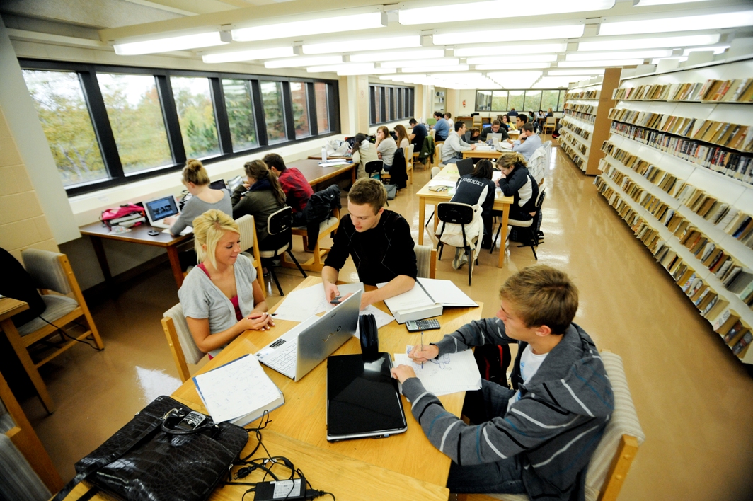 photo of study area
